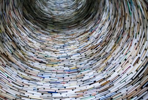 Composición geométrica circular hecha con cientos de libros. La obra, en la que se aprecian los libros solo en uno de los bordes, simula un nido de pájaros.